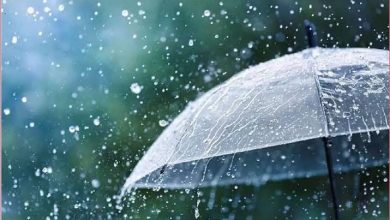 Rain 390x220